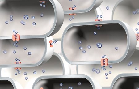 رسم توضيحي لعدد محدود من Aquaporins.